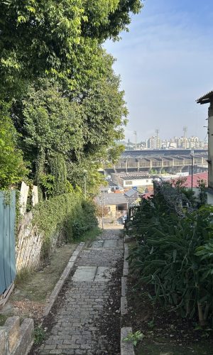 IMG_4349